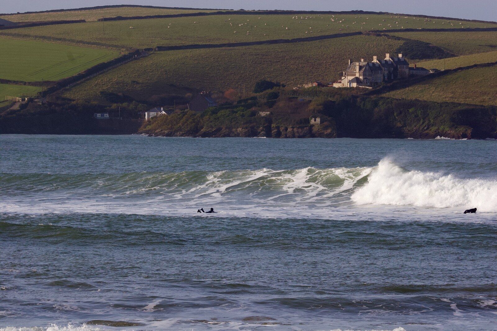 A breaking winter wave at Polzeath with surfers in the water and farmland rising behind the bay