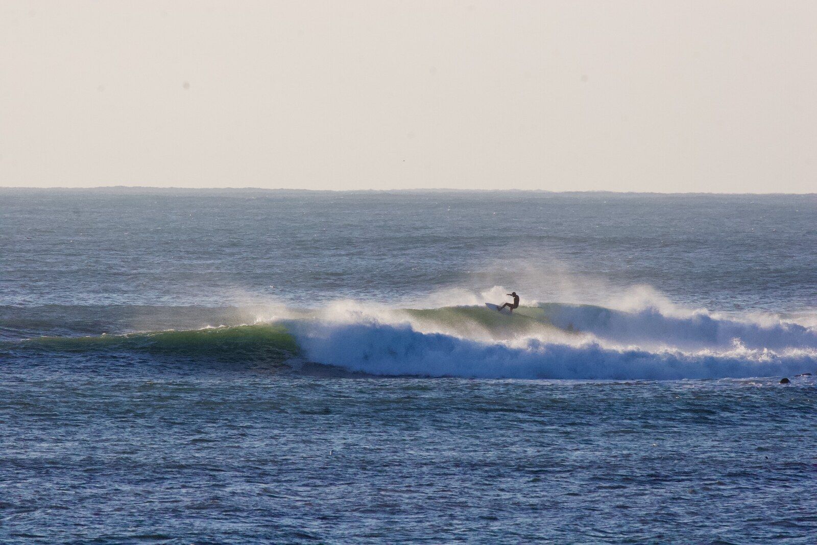A surfer carving across a clean offshore reef wave with spray blowing from the crest